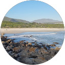 Carol Jones profile picture